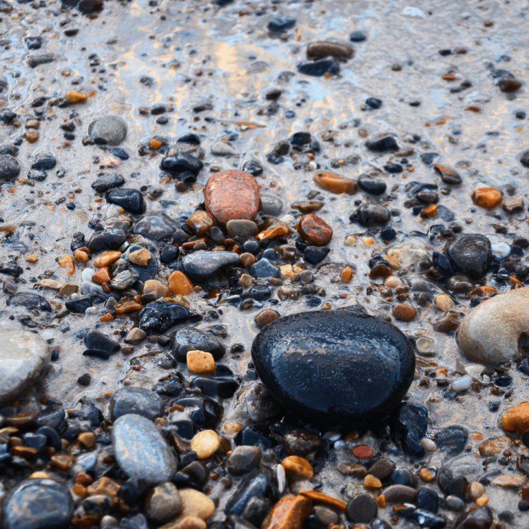 das bild "steine am strand" ist eine makroaufnahme verschiedener steine am strand. die steine sind nass. 